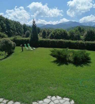 Arpasu de Sus Casa | Casa de vacanța Marin
