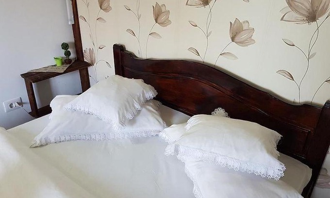 Albestii Paminteni Casa | Casa de vacanța Valea Argesului