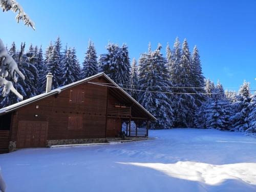 Toplita Casa | Casa de Vacanta Dintre Brazi