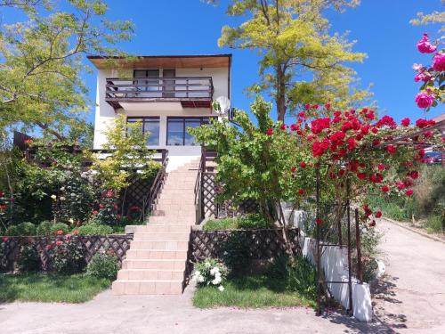 Dunavatu de Jos Casa | Casa de Vacanta Simfonia Apelor