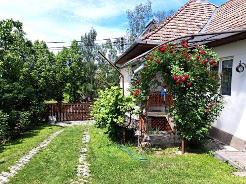 Sovata Casa | Casa de vacanta Zsenik Vendeghaz