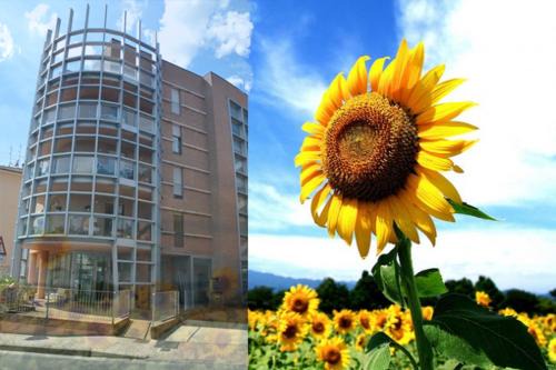 San Sisto Apartamento | Casa dei girasoli
