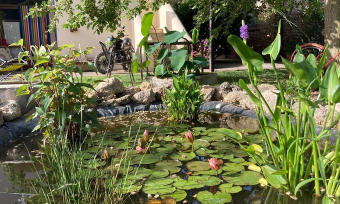 Capaccio Scalo Casa | Casa del Geco