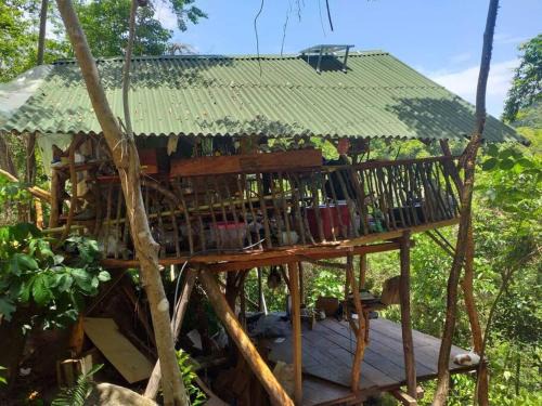 Minca Chalet De Esquí | Casa del musgo y helecho