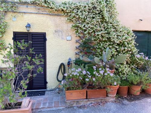 Poderi Casa | Casa del sole