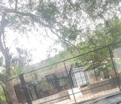 Portoviejo Casa | Casa del Zapallo