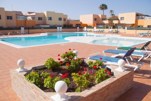 Corralejo Apartamento | Casa delfines apartment