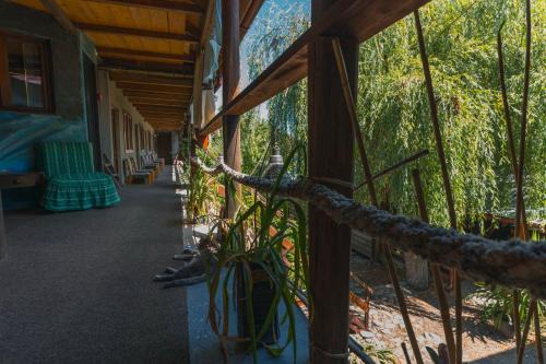 Vama Veche Casa | Casa Dexter
