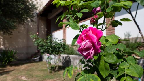 Iglesias Casa | Casa di Elena - Iglesias