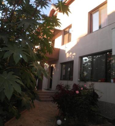 Navodari Casa | Casa Didina