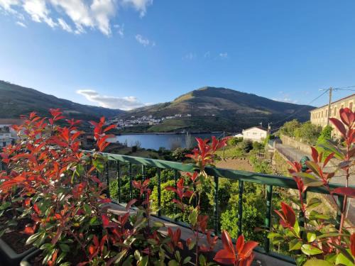 Armamar Casa | Casa dos Avós - Folgosa Douro