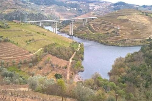 Lamego Casa | Casa dos Copins