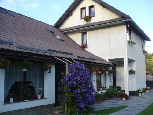 Moieciu Casa | Casa Elena
