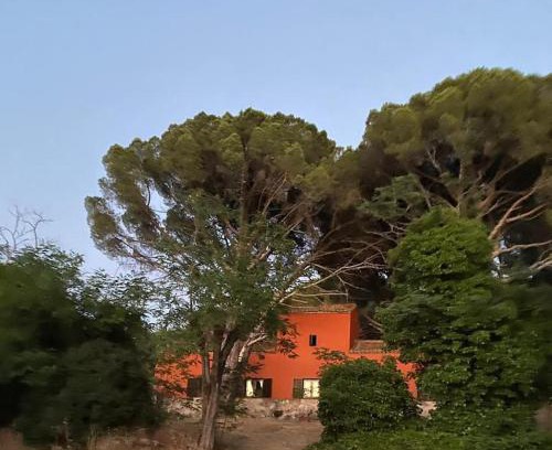 Cenicientos Casa | Casa en campo para desconectar en Madrid con Animales