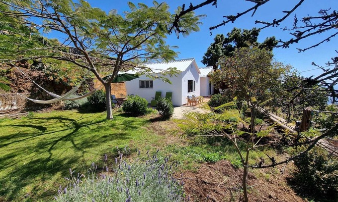 Arecida Casa | Casa Aram lapalmahouse,com