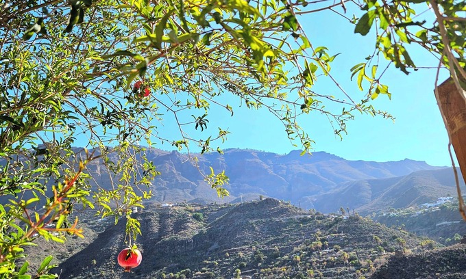 San Bartolome de Tirajana Cabaña | Casa Rural Típica Canaria En La Montaña