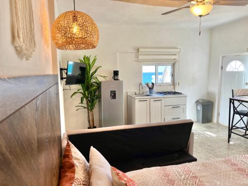 San José del Cabo Apartamento | Casa Estrella Azul