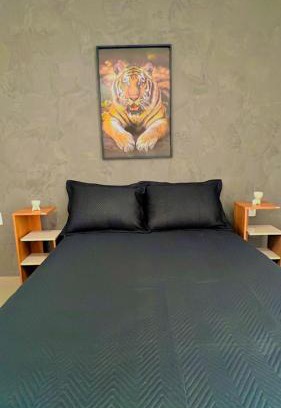 Florianopolis Apartamento | Casa Fabluys 3