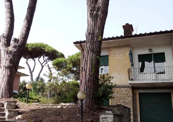 Tirrenia Apartamento | Casa Felci