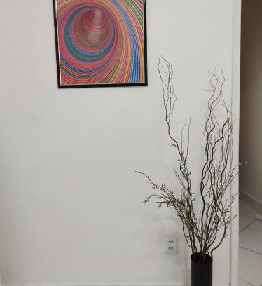 Salvador Casa | Casa Florescer