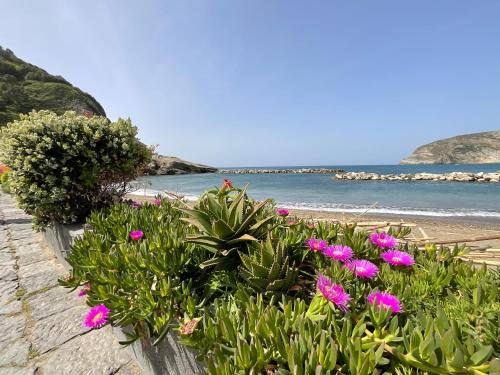 Sant'Angelo Apartamento | Casa Francesco Seaside