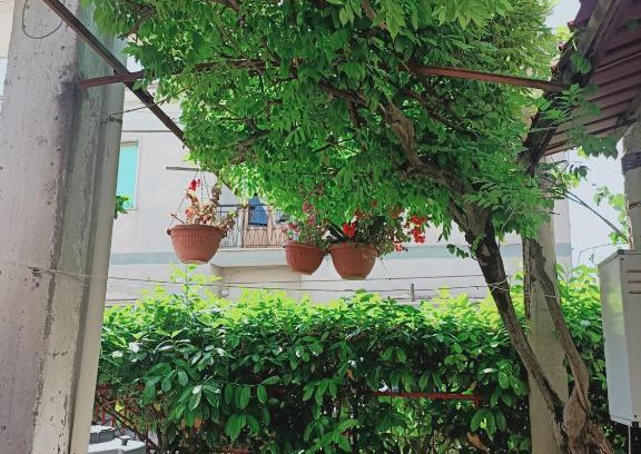 Minturno Casa | casa giardino