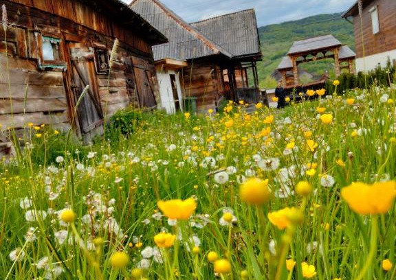 Nanesti Casa | Casa Godja Oncești