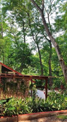 Palenque Casa | Casa Hadassa La Cañada