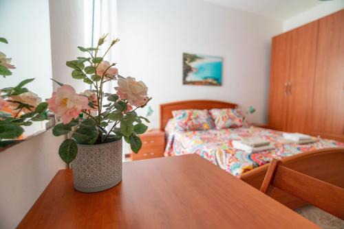 Pivarada Casa | Casa Hana