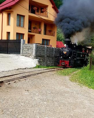 Viseu de Sus Casa | Casa Ile