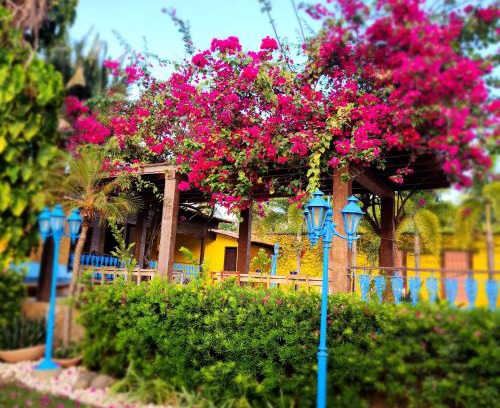 Olho D'agua Hotel | CASA IMPERIAL HOTEL POUSADA