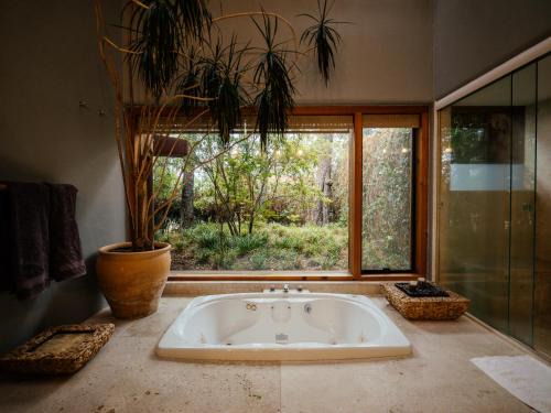 Valle de Bravo Villa | Casa Izar