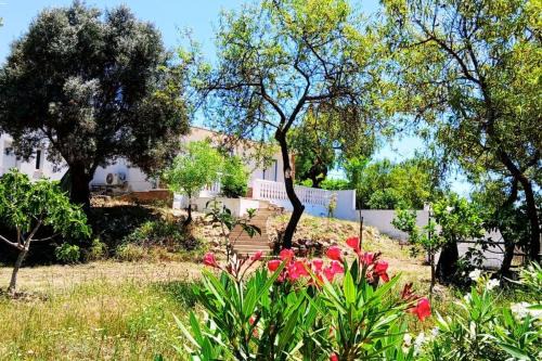 Poco do Mouro Casa | Casa Jacaranda Peace and Sunshine