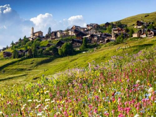 Saint-Veran Apartamento | Casa-La Carotto Appartement pour 6 dans chalet