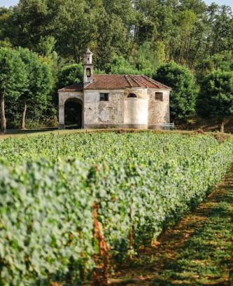 Spigno Monferrato Casa | Casa La Cucca