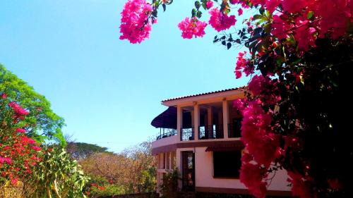 Sámara Apartamento | Casa La Guaria