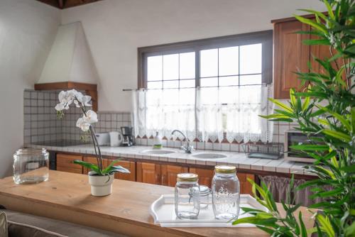 Puntagorda Casa | Casa Las Vistas