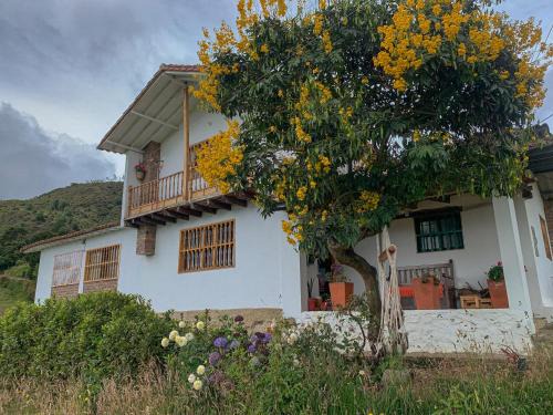 Mongui Casa | Casa Laurel