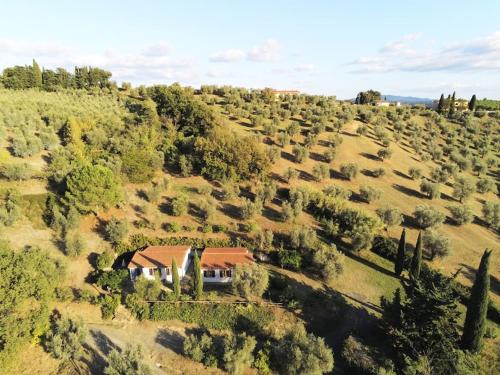 Riparbella Casa | Casa Leccino, una dimora per tutta la famiglia