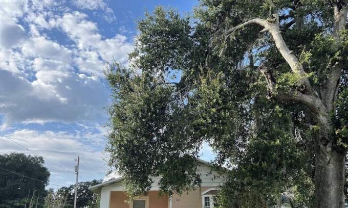 Wauchula Casa | Casa Linda