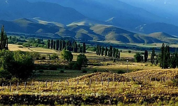 Tupungato Casa | Casa Los Coirones