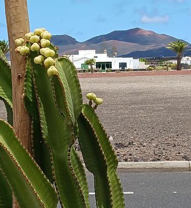Uga Casa | Casa Los Volcanes