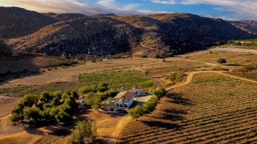 Valle de Guadalupe Casa | Casa Luna Viñedo