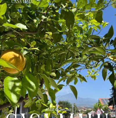 Aci Bonaccorsi Casa | Casa MaLù