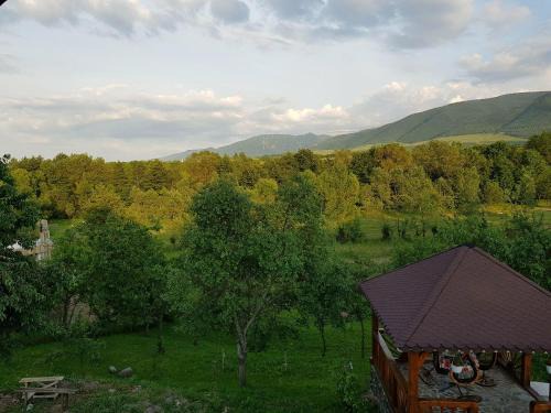 Sarmizegetusa Casa | Casa Maria
