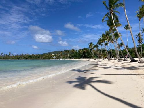 Las Galeras Apartamento | Casa Marleny