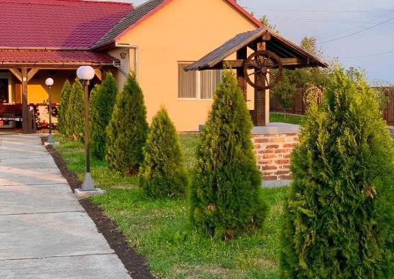 Pancota Casa | Casa Martis