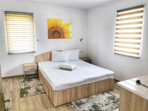 Sovata Casa | Casa Milla