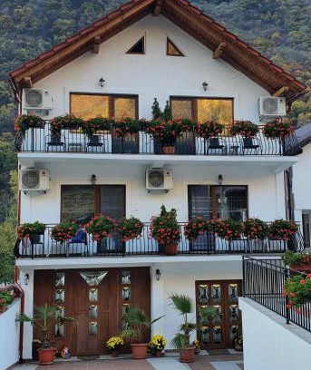 Baile Herculane Casa | Casa Mimi