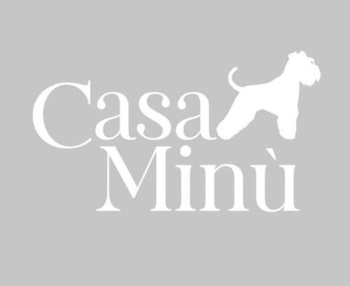 Ex Campo d'Aviazione Casa | Casa Minù